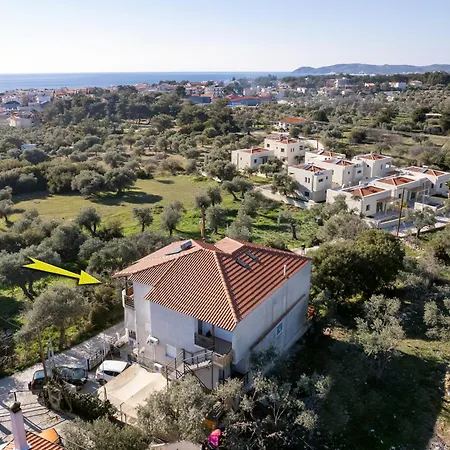 Olive Valley Daire Potos